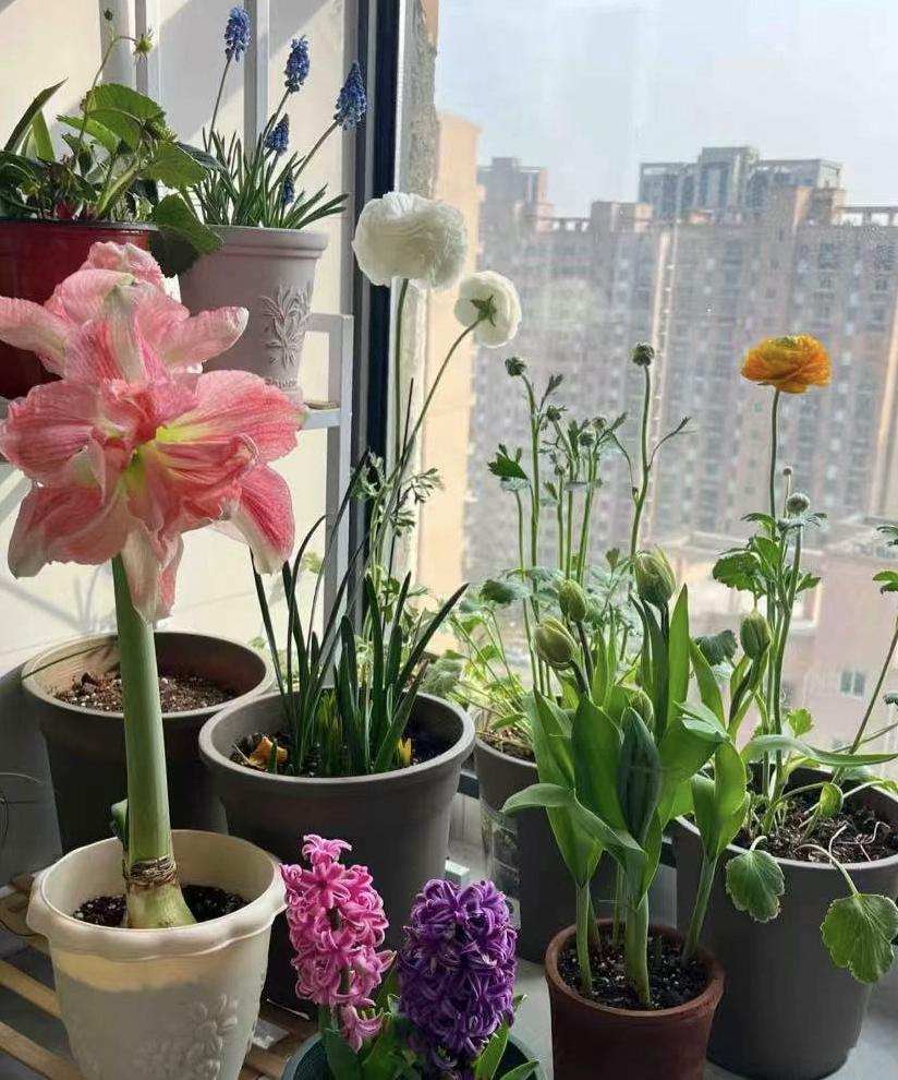 九月份开学了，家长要告诉孩子的八句话：第一句：不要在乎老师有没有喜欢你，只要