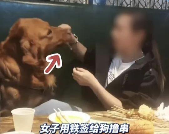 2026年5月10日傍晚，大连金州区金石滩旺角串吧就餐高峰期，一名中年女子携大型