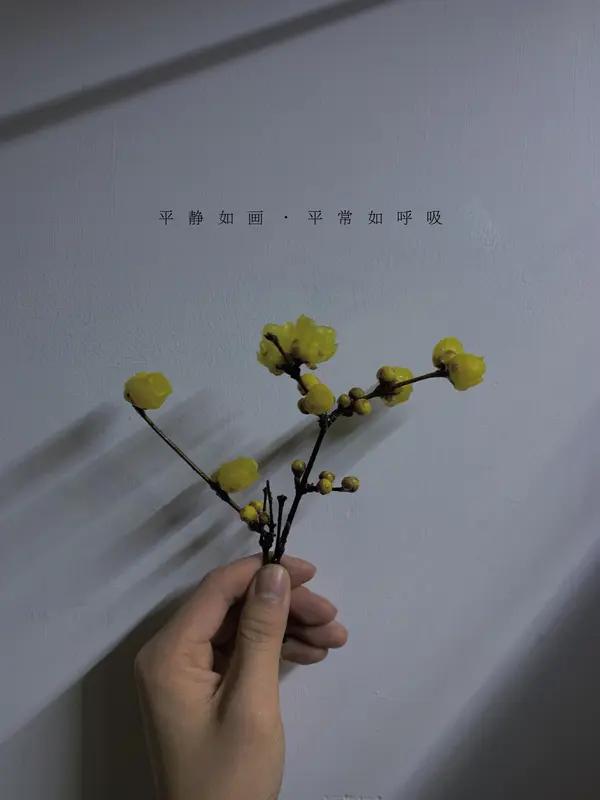 友友说的真好，不求大富大贵，不羡慕轰轰烈烈，只守着平平淡淡，安稳度日，