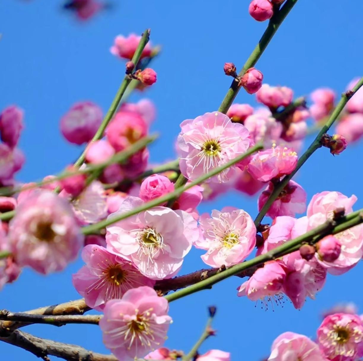 独居两年的朋友，给我上了一课，人间清醒的忠告:1、老话不可信:养儿防老就是个