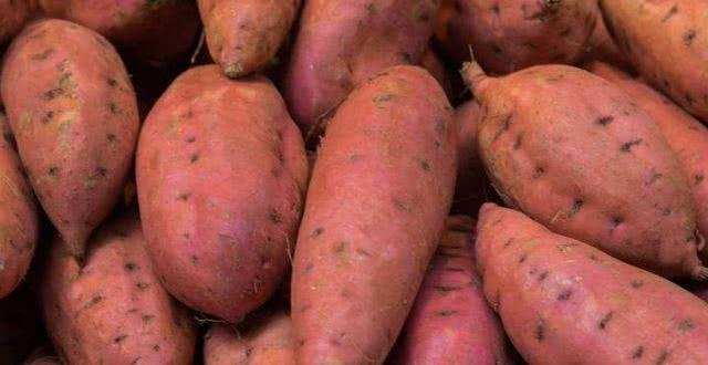 警惕夺命红薯！甲拌磷剧毒暗藏，4个小技巧一眼辨毒，家家必看央视曝光夺命红薯