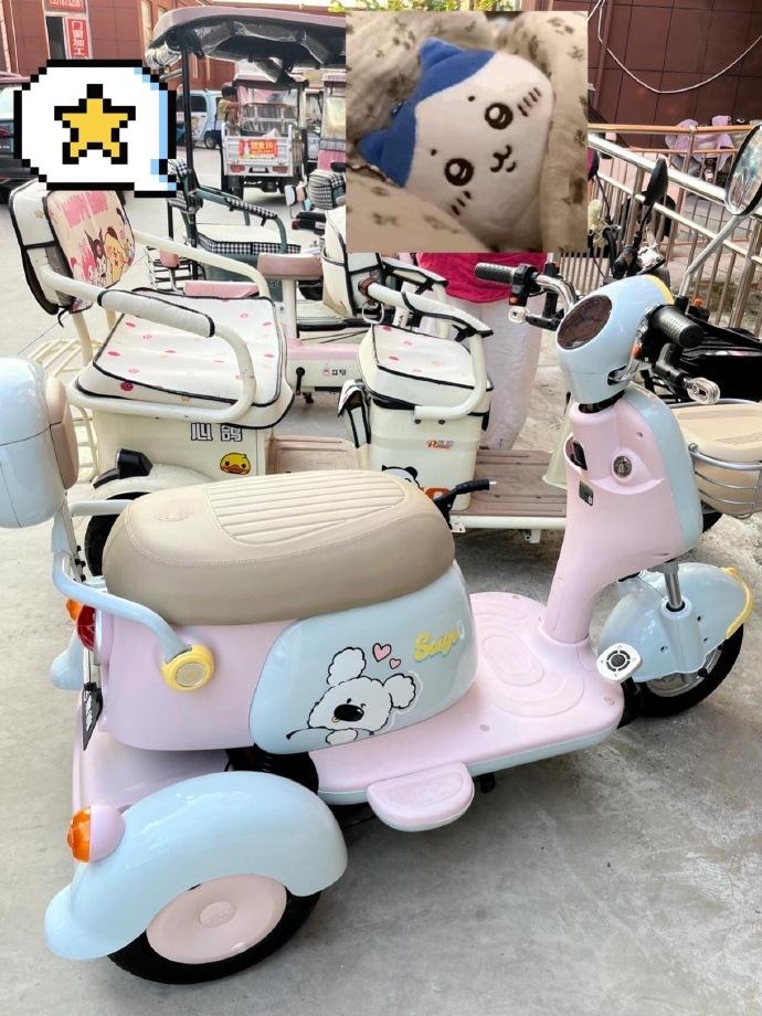 更适合大学生体质的电动车