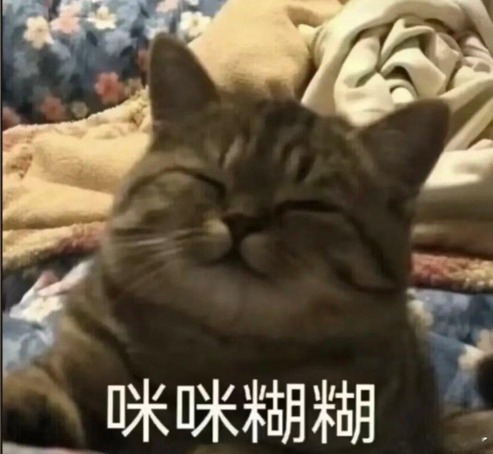 可爱小猫咪。
