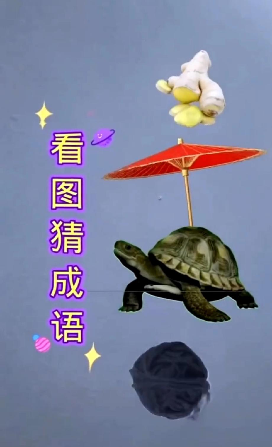 看懵了！乌龟+伞+棉花组合，到底藏了啥成语？据说90%的人第一反应都错了