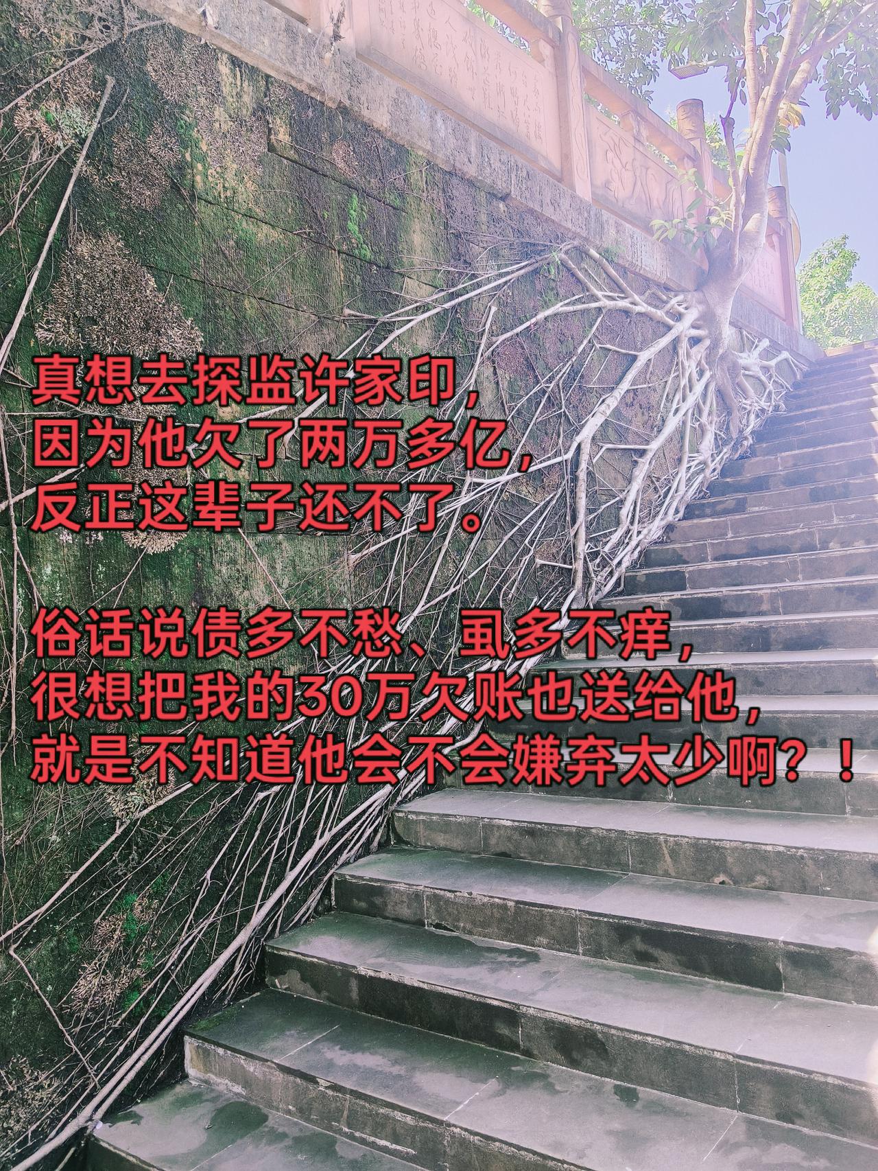 真想去探监许家印，因为他欠了两万多亿，反正这辈子还不了。俗话说债多不愁、