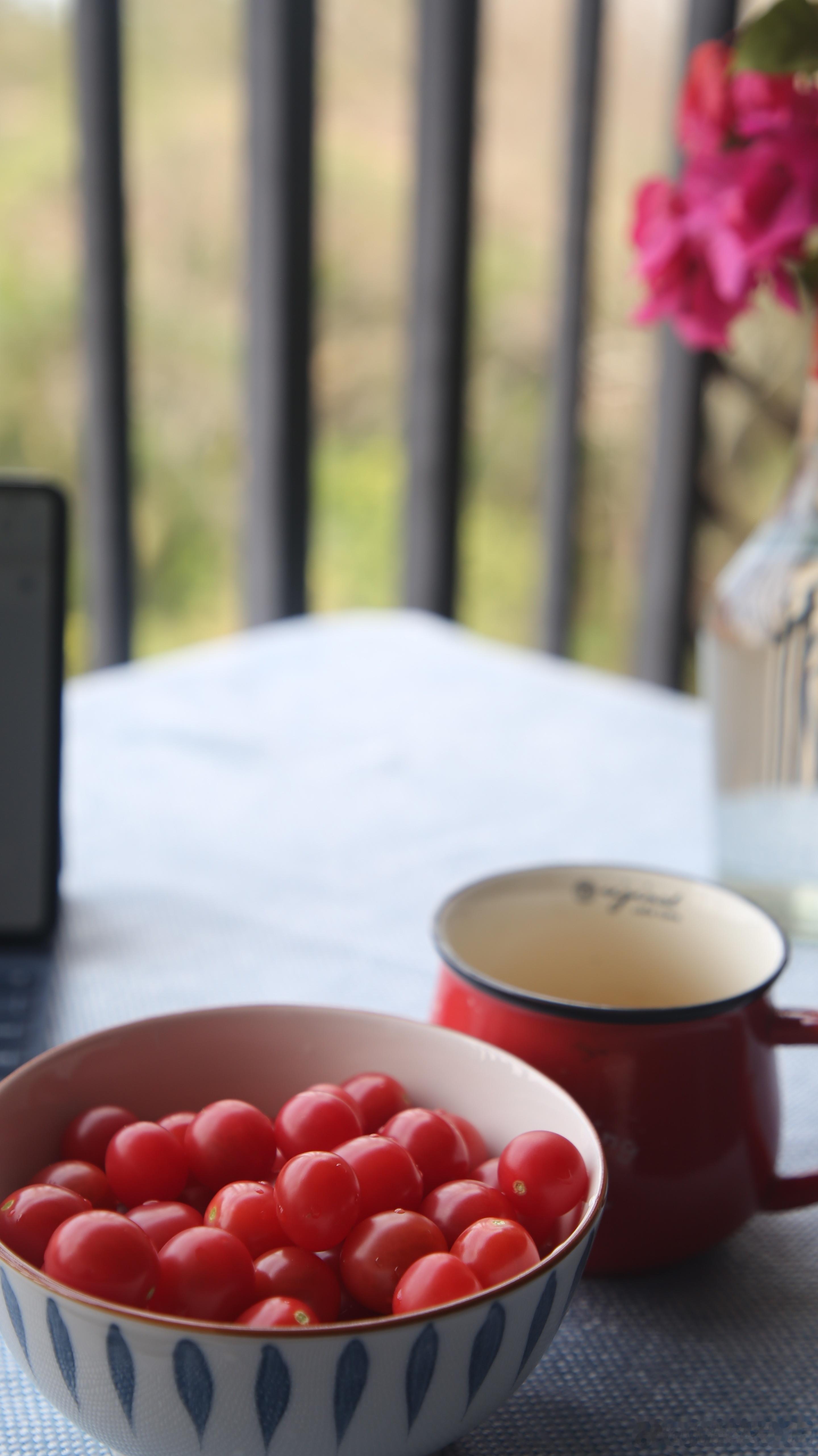 我的2026偷得浮生半日闲，泡一壶暖茶，一盘清甜的小番茄，青果点缀。抬眼是绿意