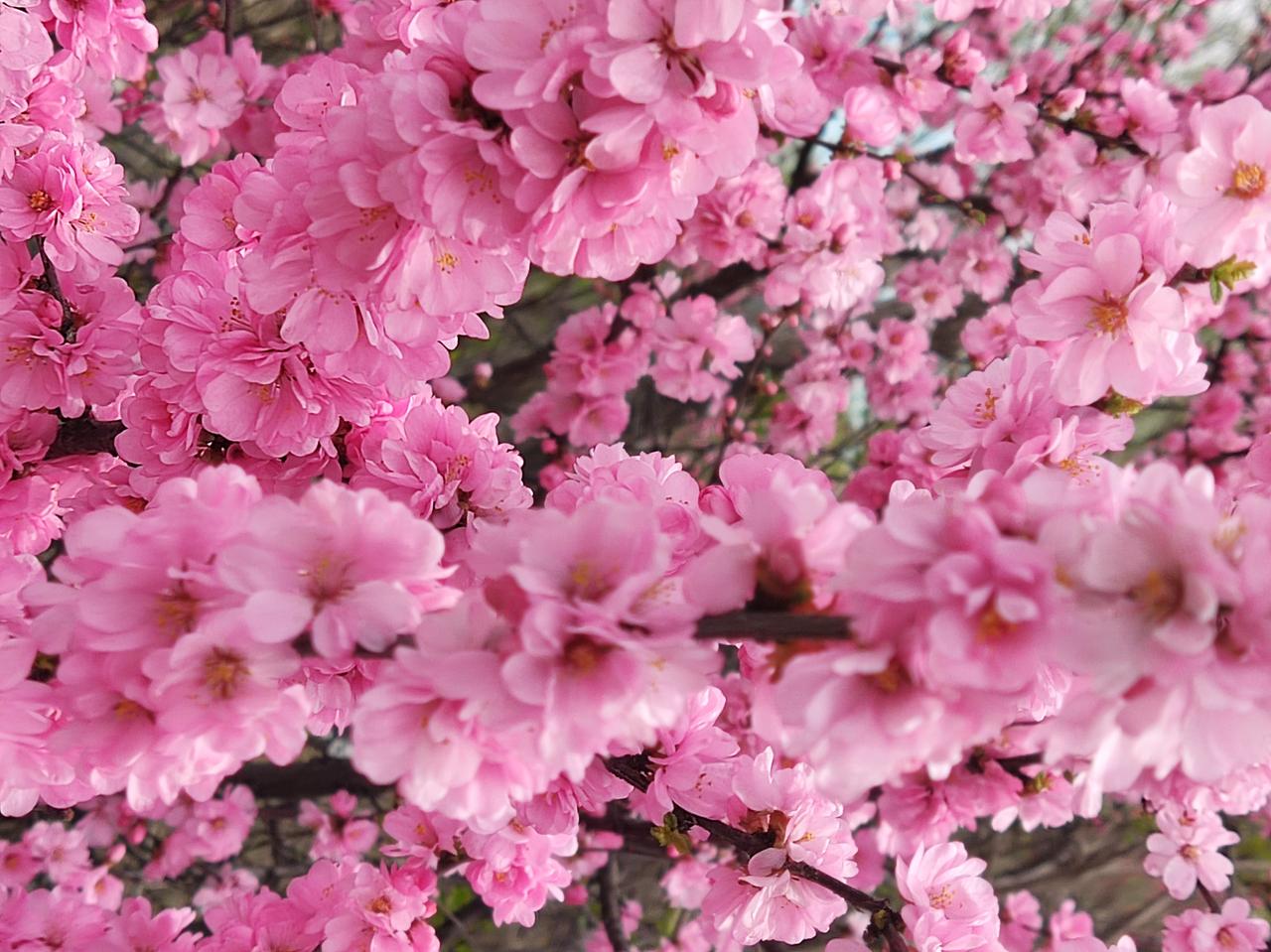 故事情节有些曲折，请慢慢往下看。 2025年，因工作变动，我搬到通州西潞苑小