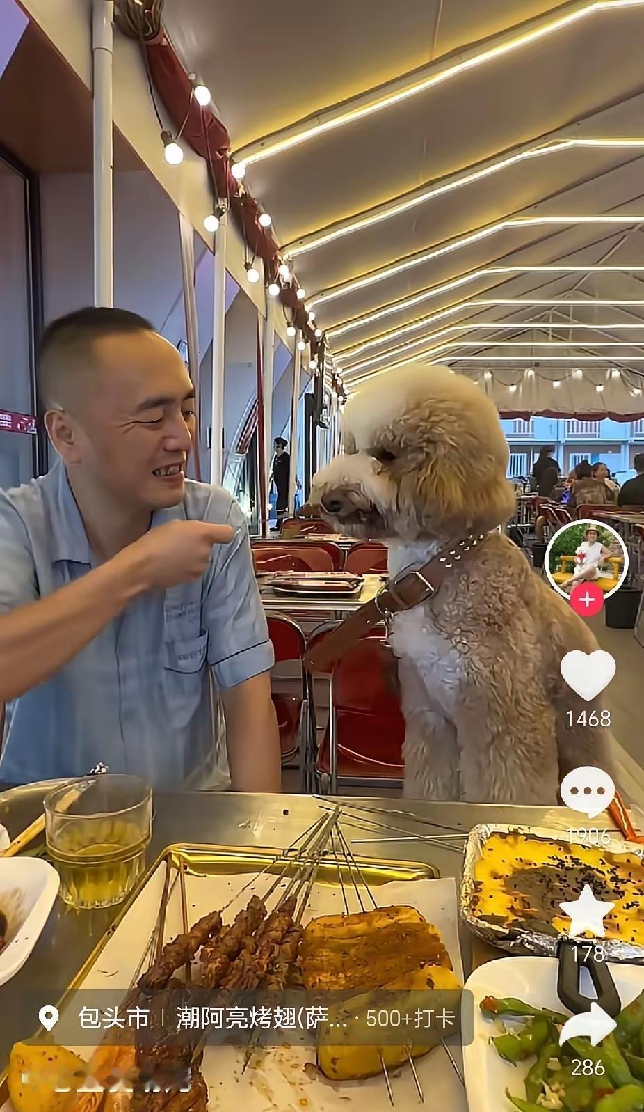 看着也是一把年纪的人了，行为连狗都不如。就想问问狗的主人：你这是要把包头的这家