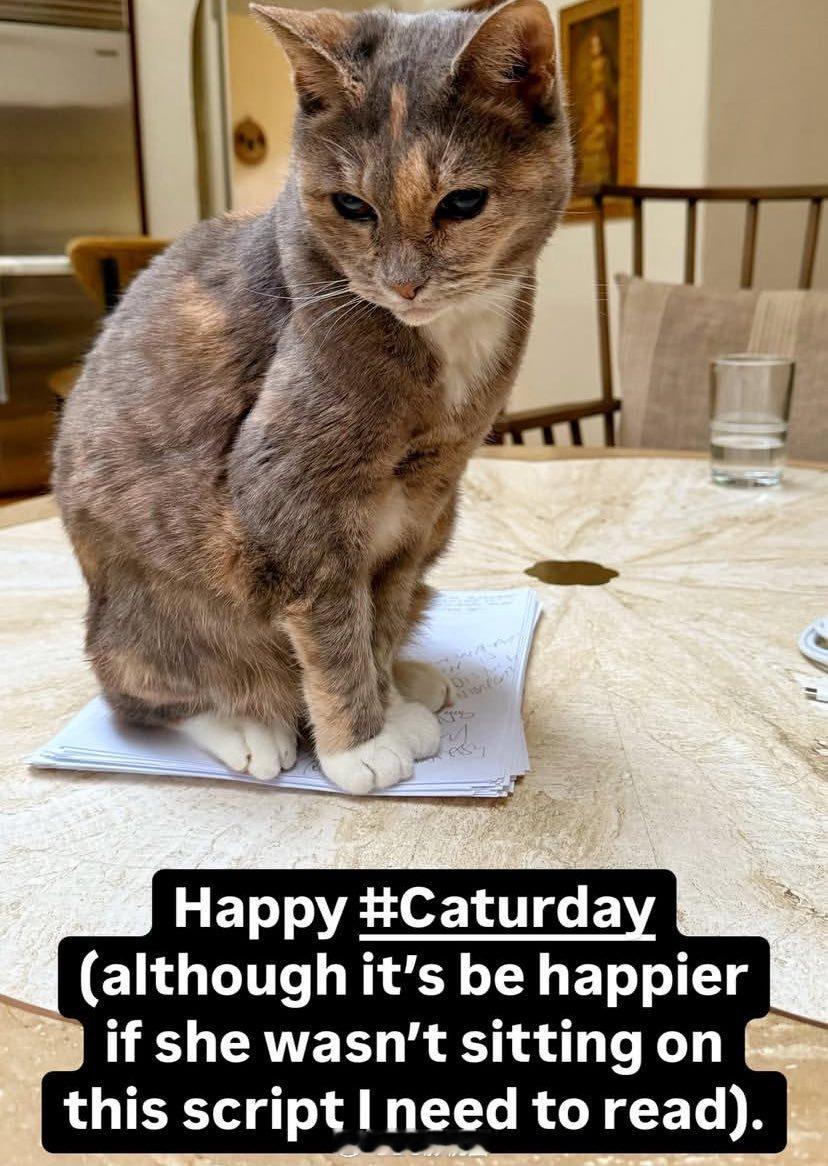 詹姆斯·古恩分享一张自己猫猫的照片，祝愿各位“猫六日”（Caturday）快乐！