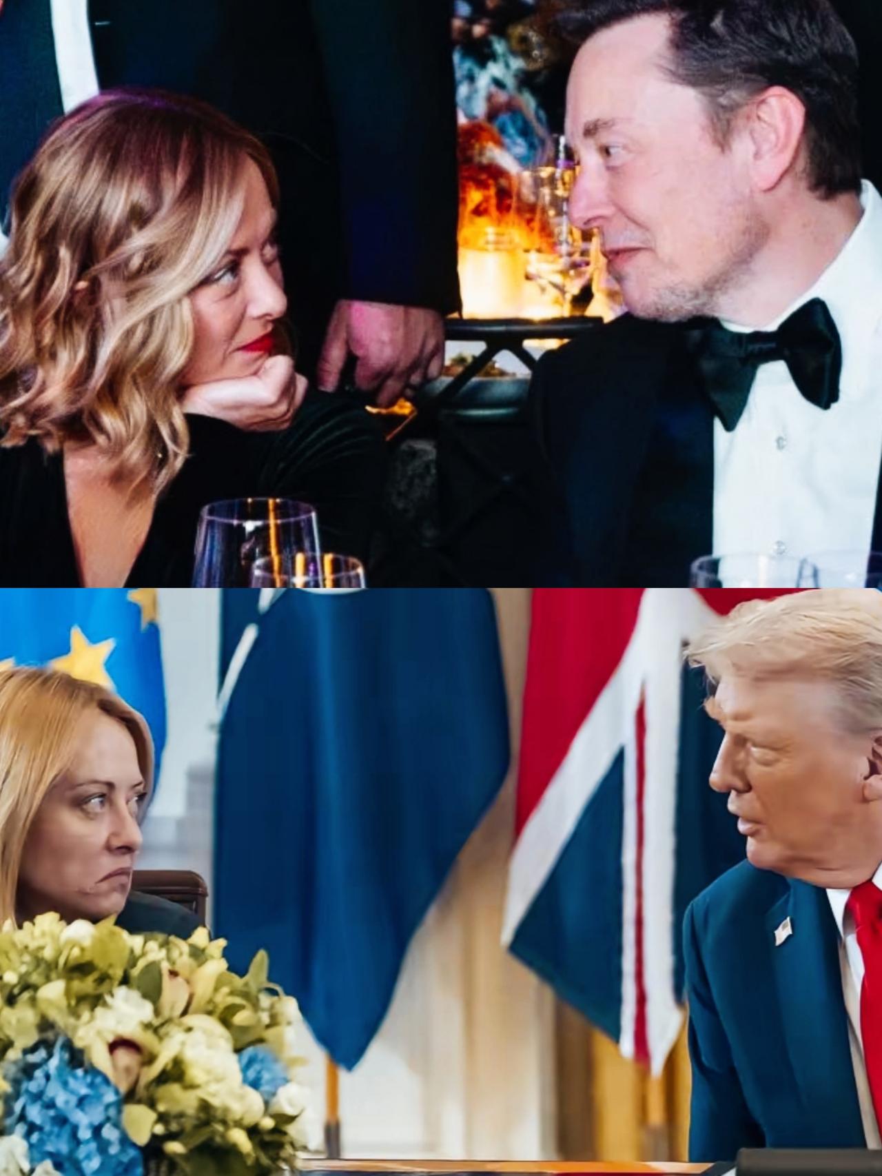 梅洛尼看向马斯克和特朗普时，表情和眼神各自代表什么意思呢？梅洛尼望着马斯克，是