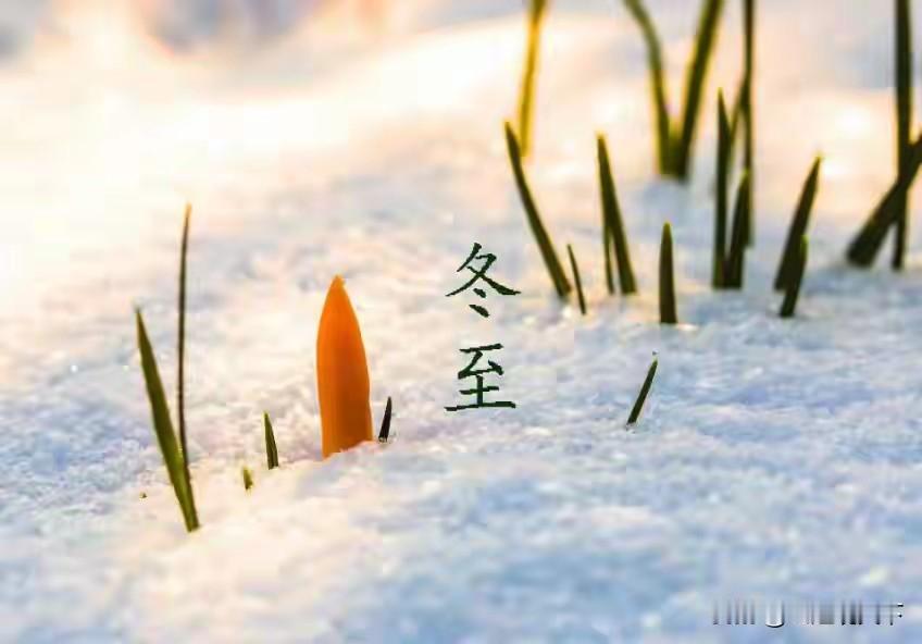 冬至将至，作为二十四节气中极富深意的一个节点，它不仅标志着阴阳转换的开始，民