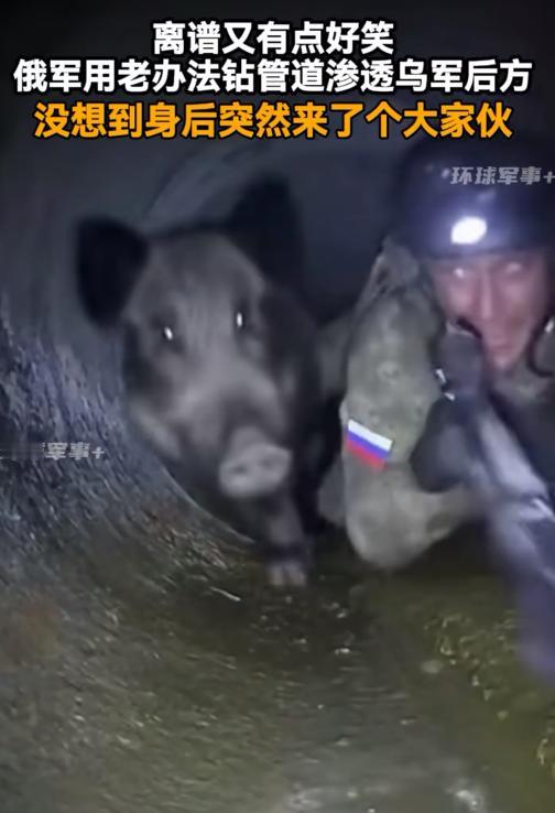 找到破解俄军管道突击队的办法了？俄军钻天然气管道突袭乌军后方据点。结果，没想到，