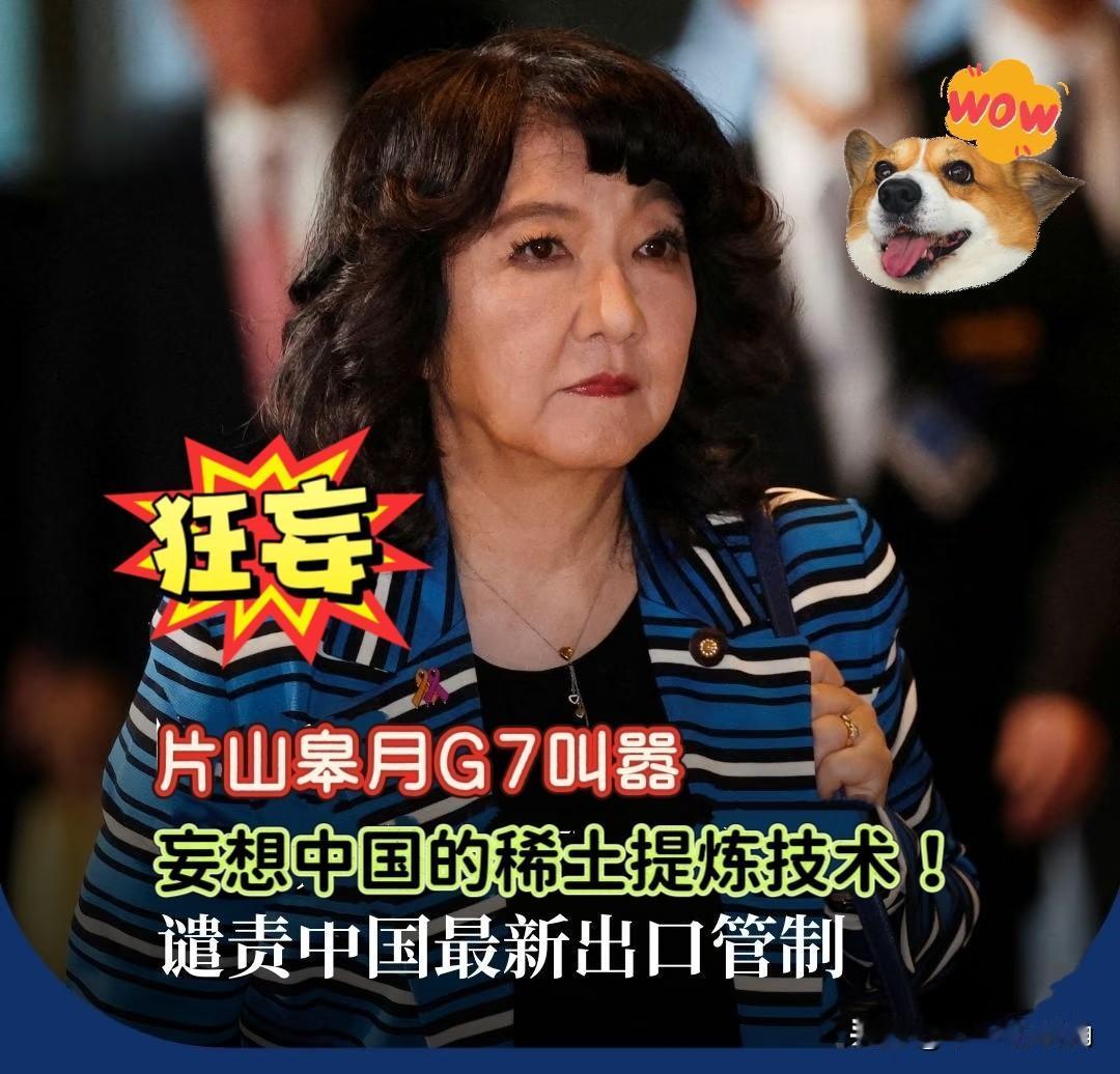 开口就要稀土技术，不给就制裁？日本这波强盗逻辑，真把人看笑了！日本财务大臣片