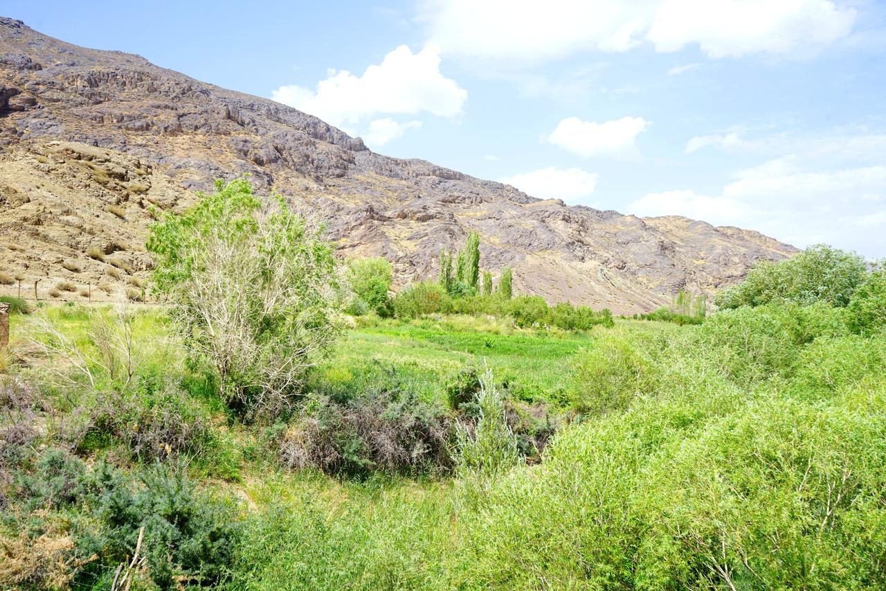 当下结婚率那么低其实就是离婚率高造成的，网上有人说某地一个颇有风姿的女人，她靠不