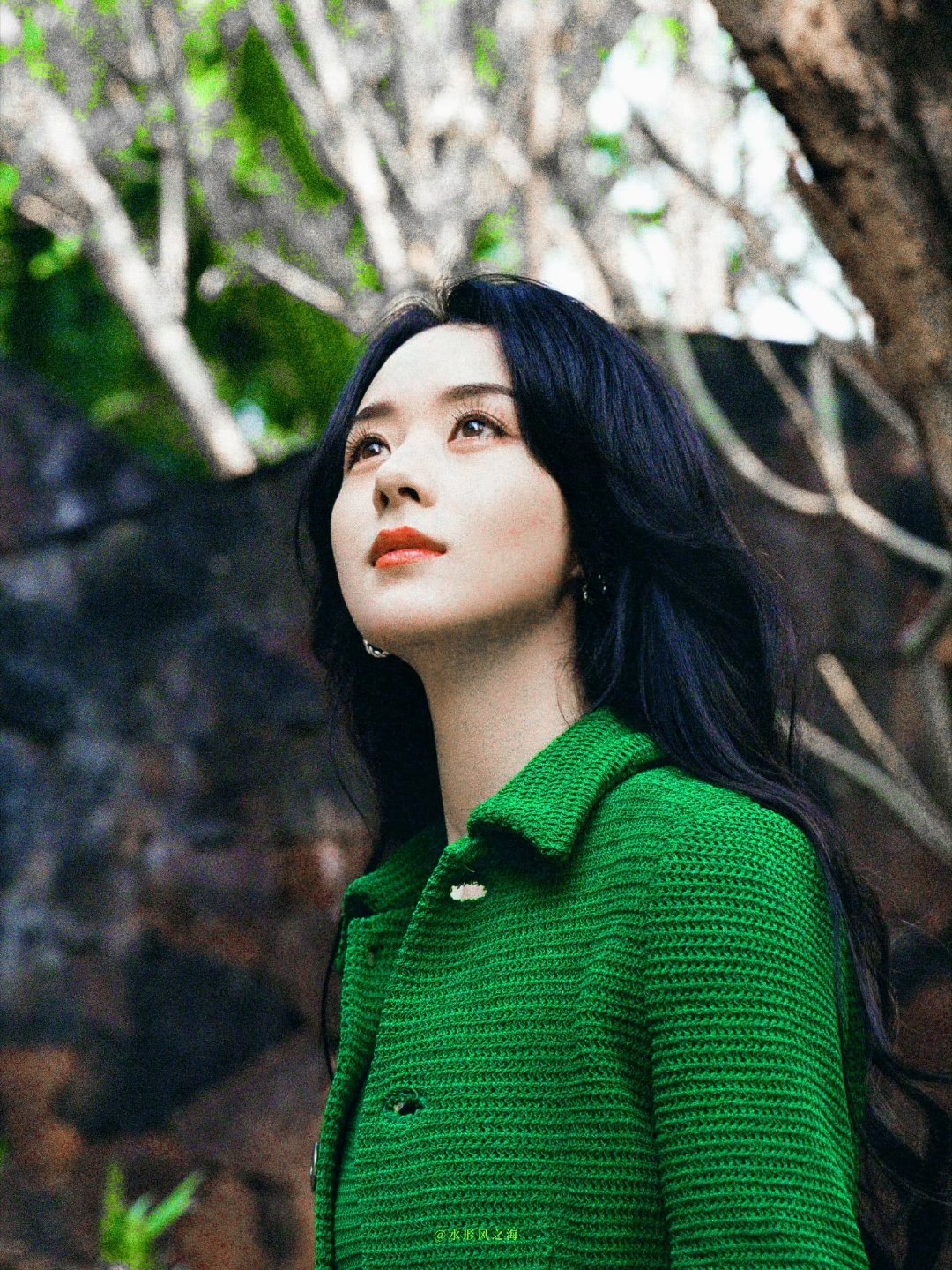 绿野仙踪🍃യ˚🌿*﹆（图源）