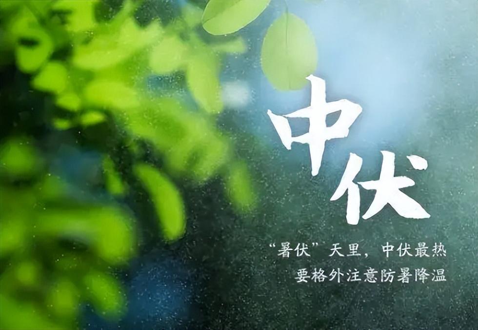 明日中伏，今年中伏“不一般”，有三大特点，早看早知道！时间过得真快，转眼初伏