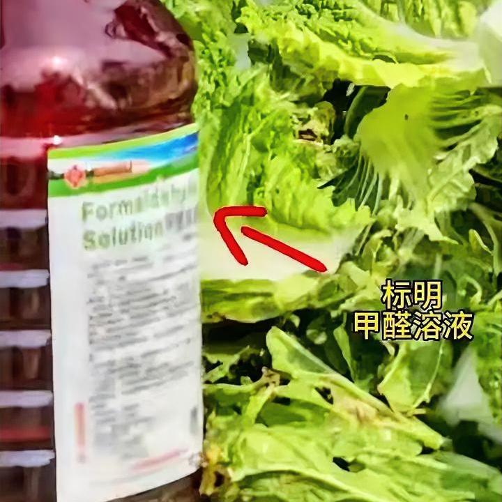 我有个亲戚是种地的老菜农，我问他为啥市面上的白菜格外新鲜耐放，不容易烂，我亲戚