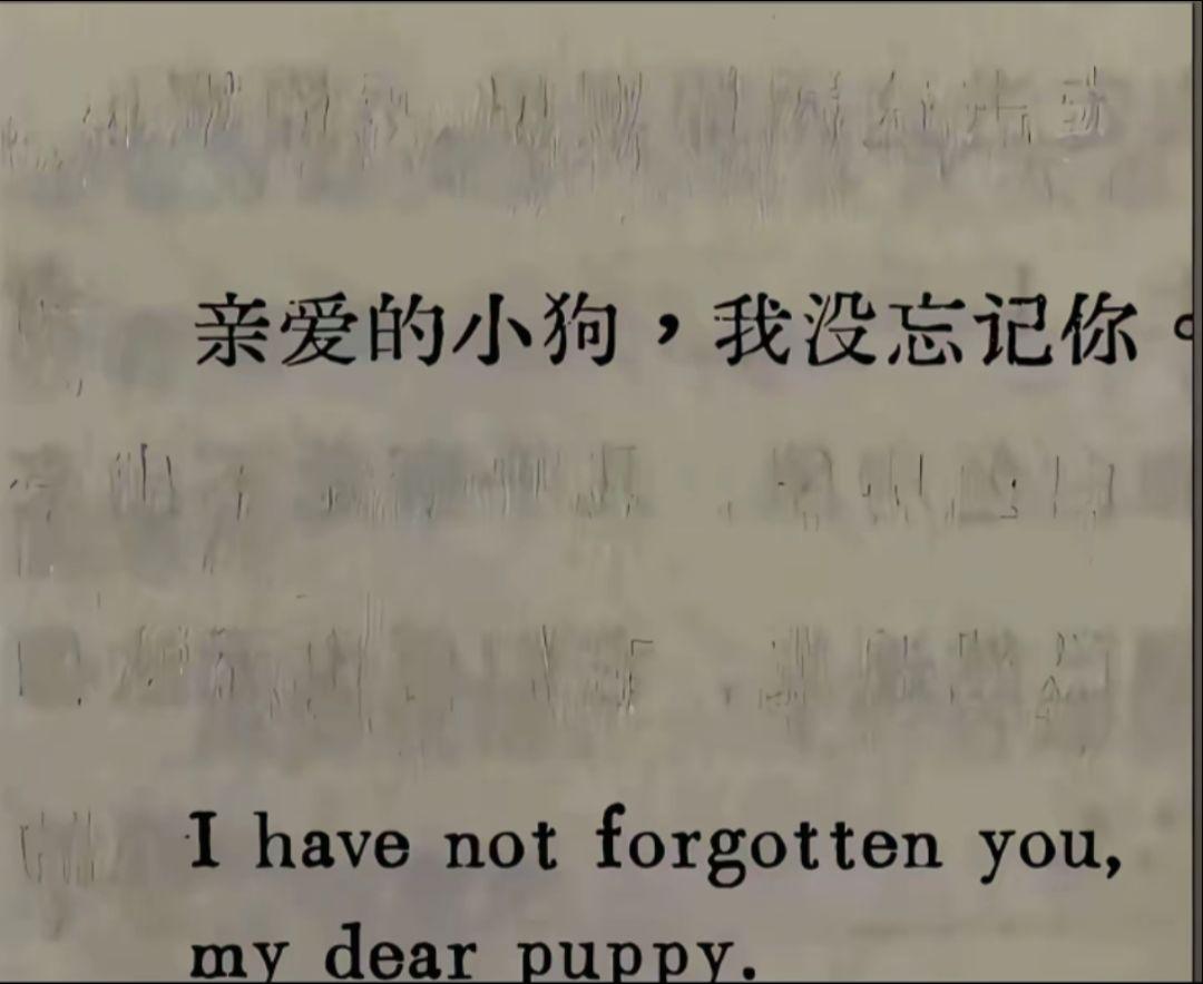 狗狗再见