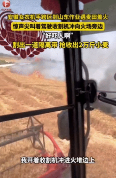 “此女以后绝成大器！”6月19日报道，安徽一女农机手在山东收割麦子时，突然发现有