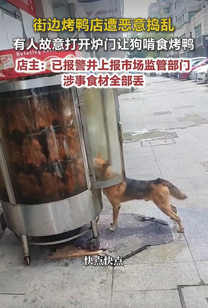 太缺德了！8月23日极目新闻报道，浙江绍兴，店门口烤鸭炉挂着的烤鸭，被恶狗疯狂舔