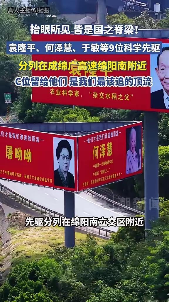 四川绵阳，成绵广高速绵阳南收费站旁边，一夜之间竖起九块巨型广告牌。牌上没有流量明