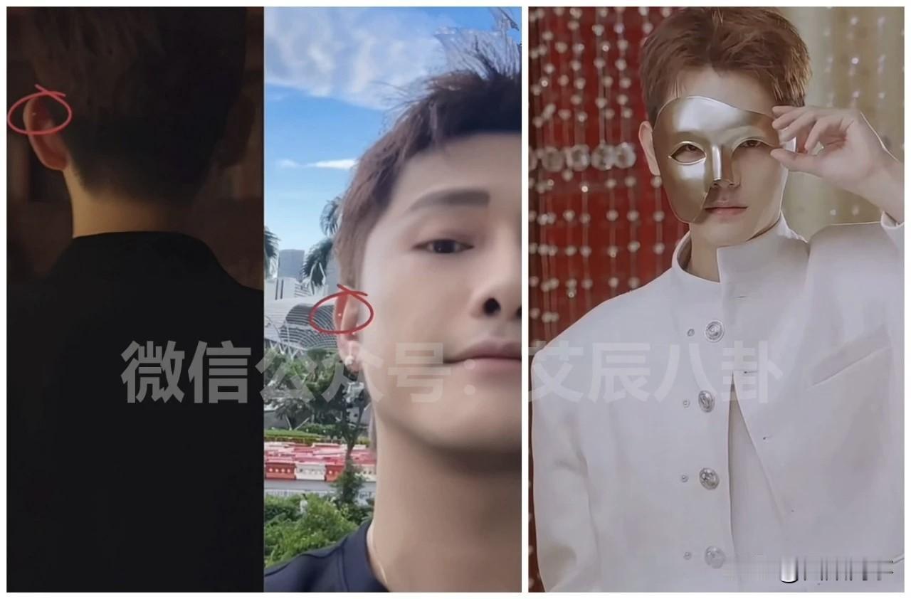 蛋蛋即将官宣合伙人，粉丝深扒明星身份竟是他？蛋蛋定