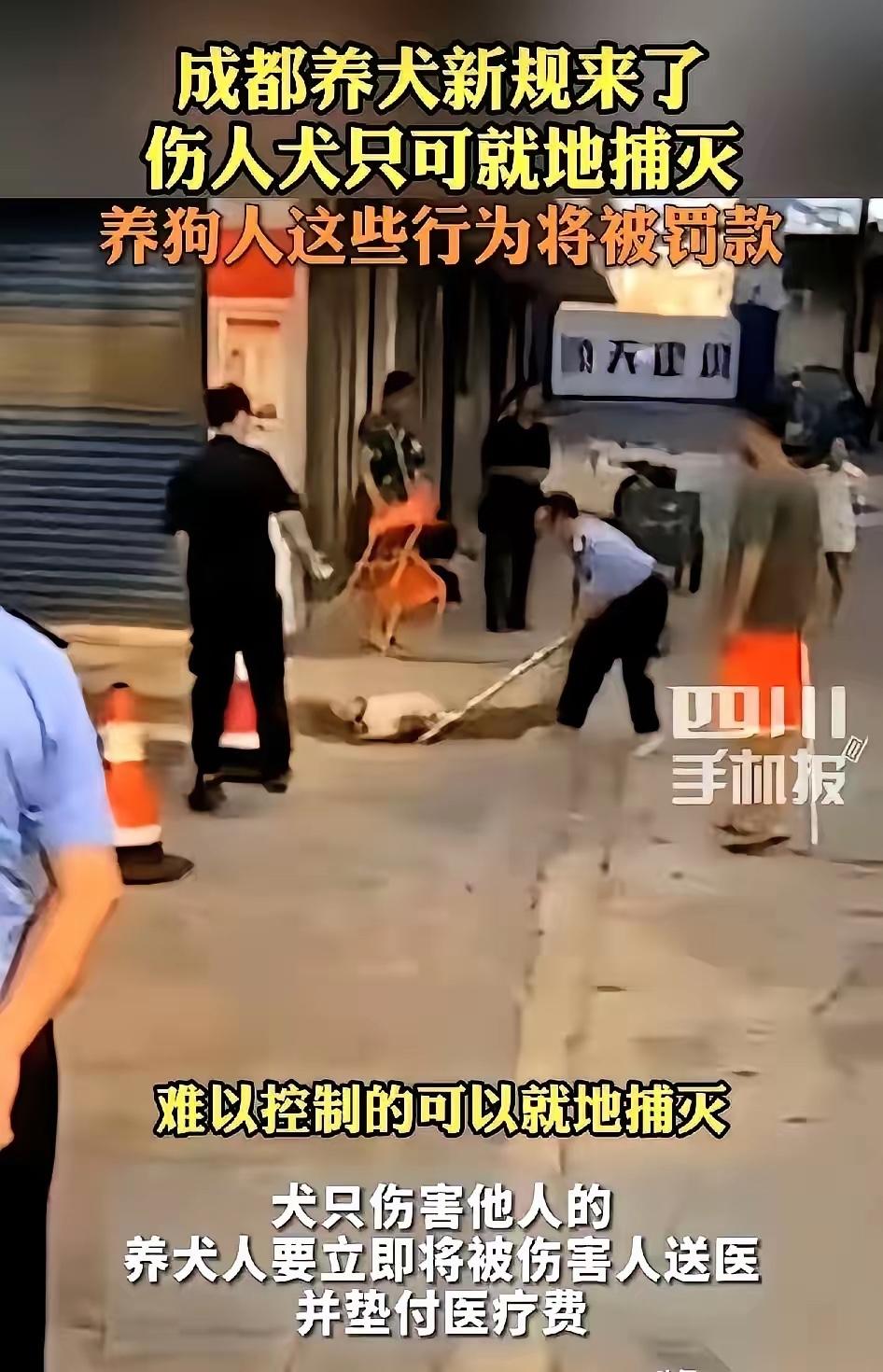成都养犬新规，一条直接把人干懵：你的狗咬了人，甭管是不是对方先招惹的，你，必须第