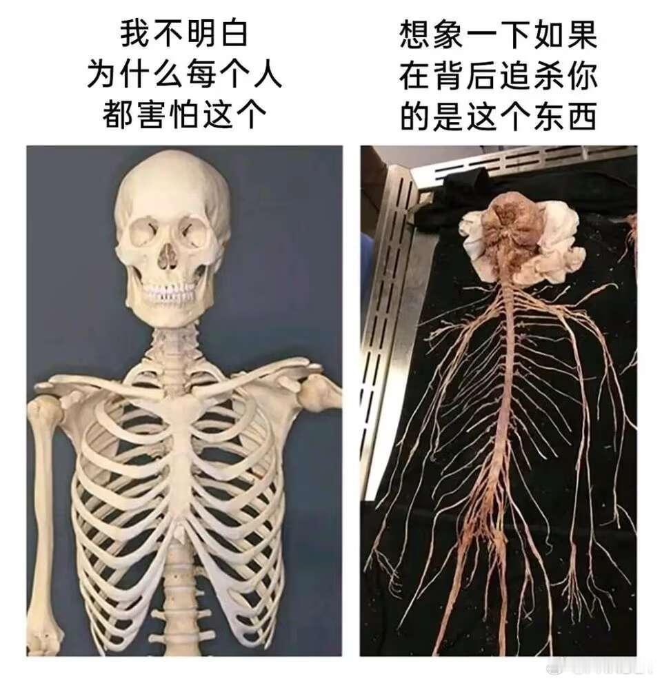 去广西玩的时候路过武汉嘛，晚上就有媳妇家的亲戚来一起侃大山。期间一个亲戚毫不掩饰