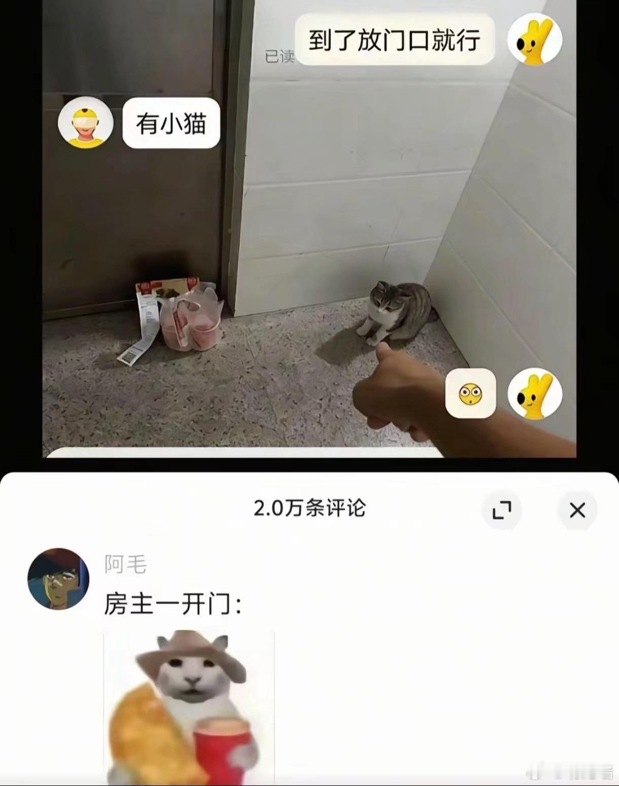 其实是小猫点的外卖