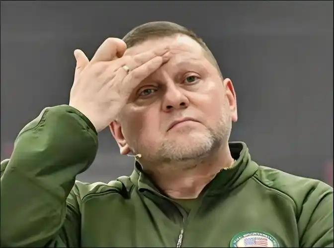 扎卢日内这一刀，捅得比俄军还狠。乌克兰举国欢庆"炸瘫俄罗斯"的时候，这位被泽