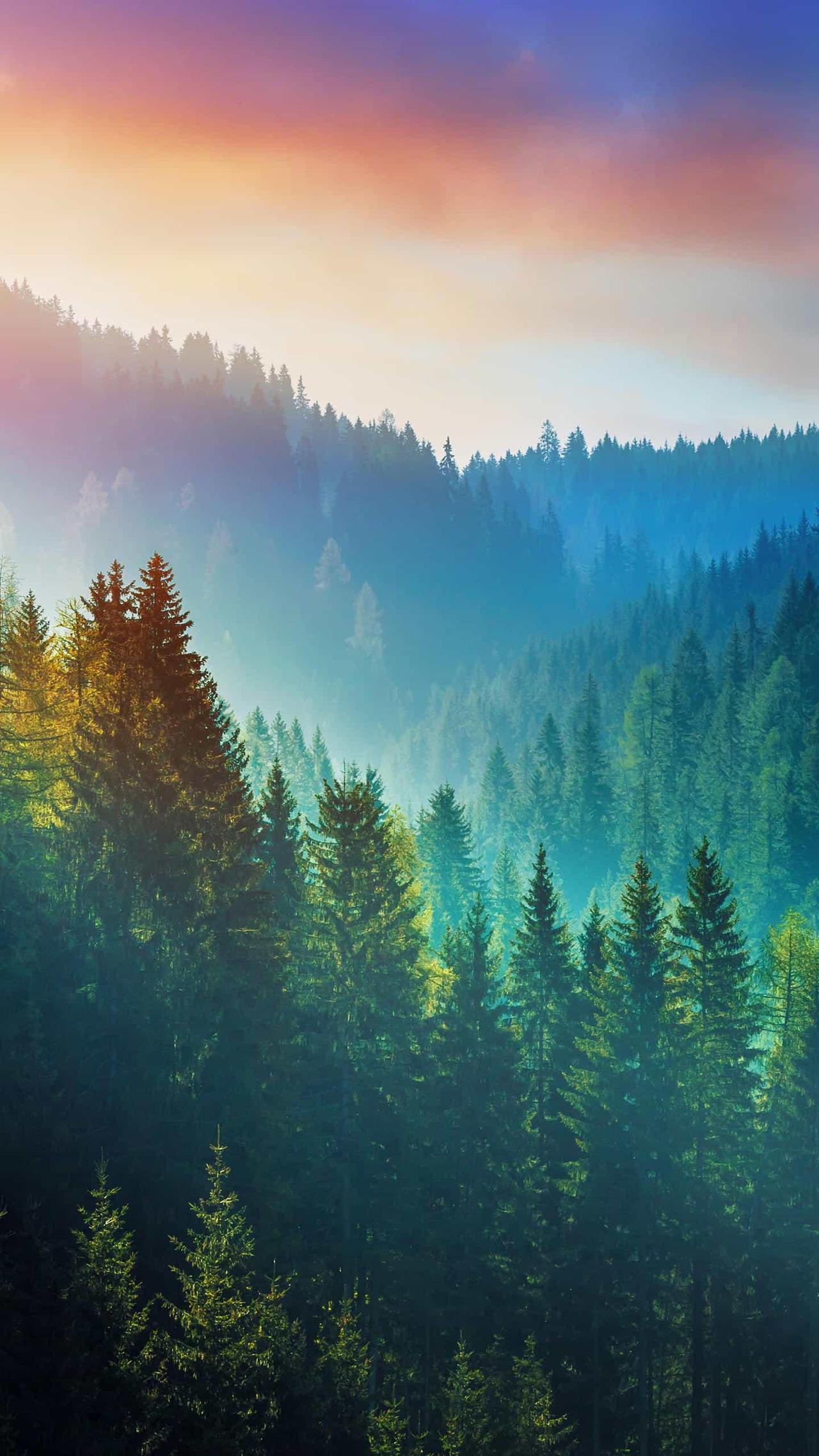 1861年11月11日，鲍超携带十六包礼物至安庆，2天后即曾国藩生日。拜见过曾国