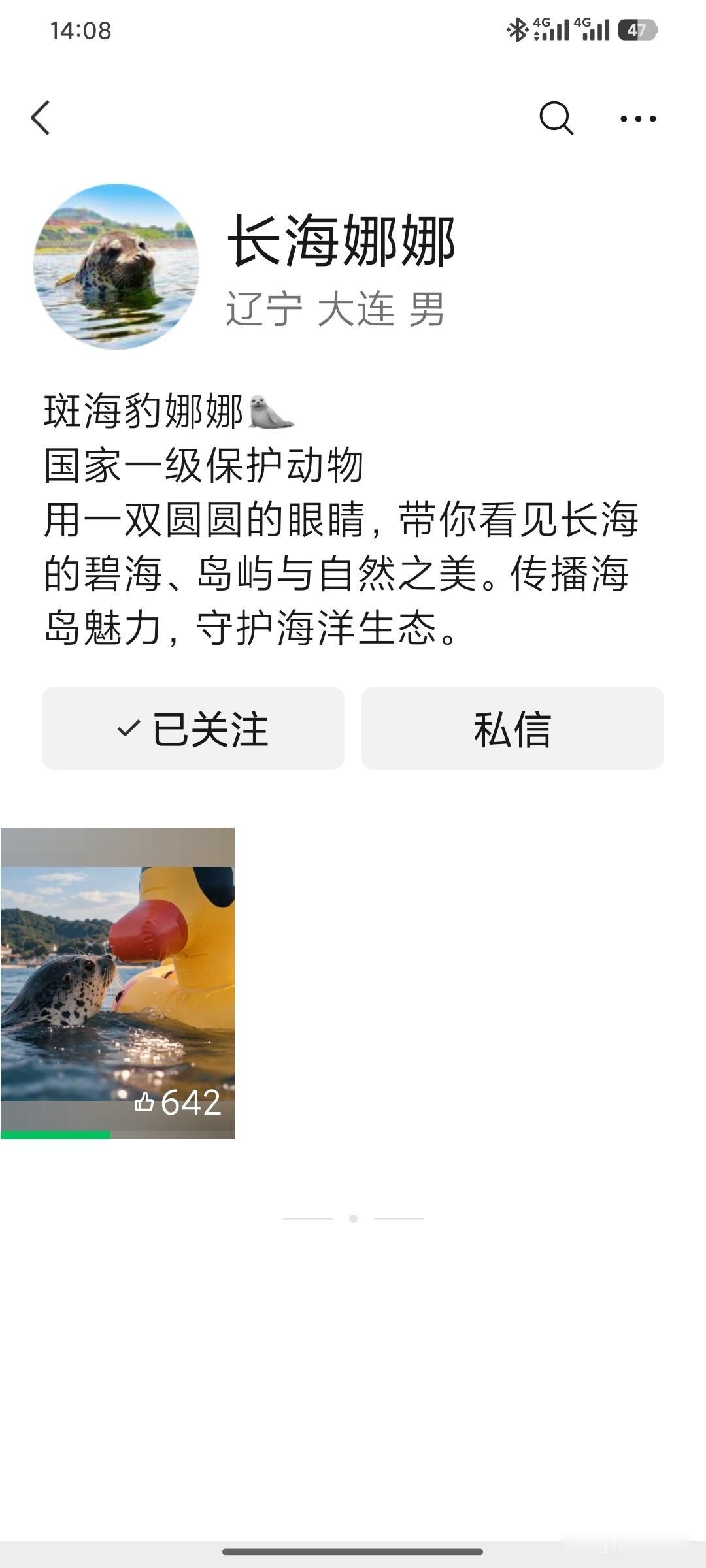 大连网红海豹“娜娜”开视频号了！长海县把泼天流量接成了生态名片！一只斑海豹，