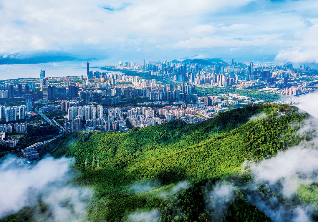 报考的家长可以看看深圳这所高校，深圳未来技术学院。学生将同时注册天津大学与香港理
