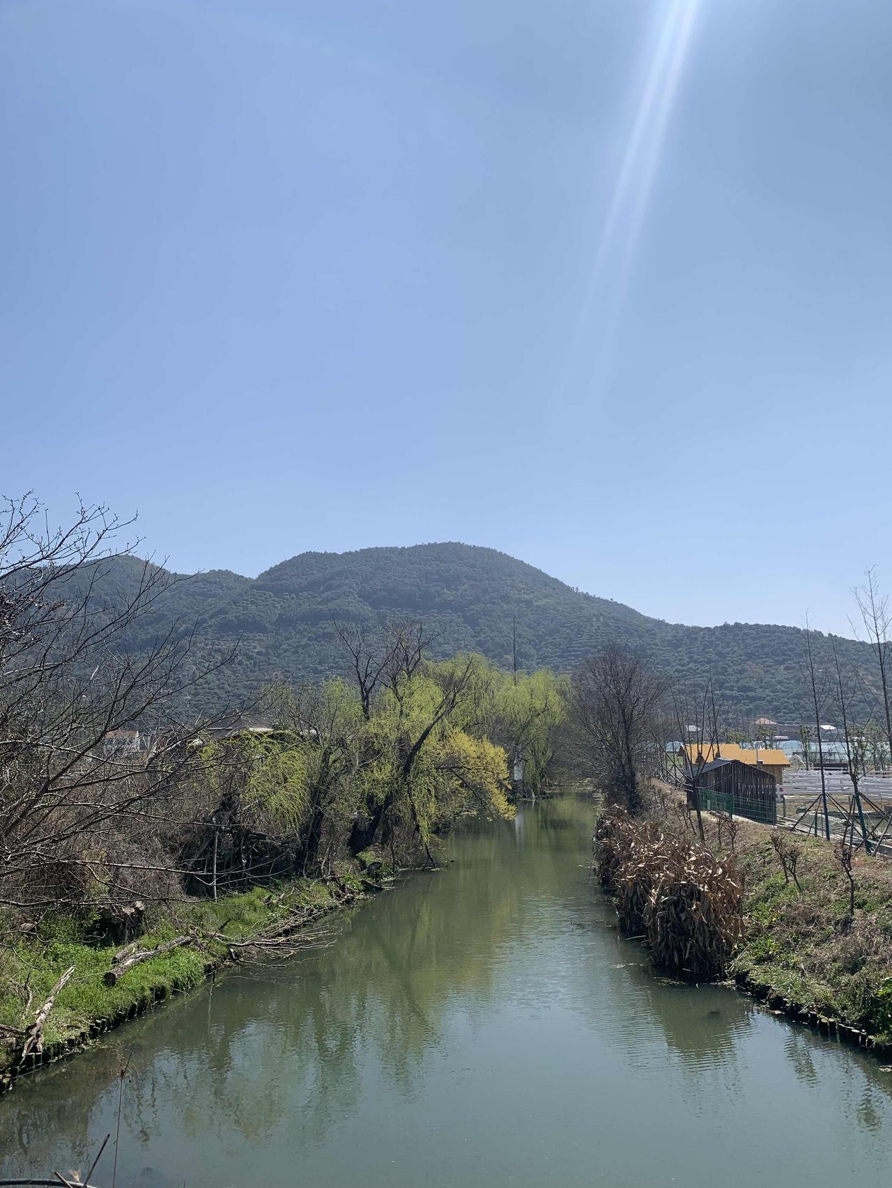 属兔的人财运这事儿，还挺有说法。从性格上看，属兔的人温和谨慎，理财时比较稳健，不