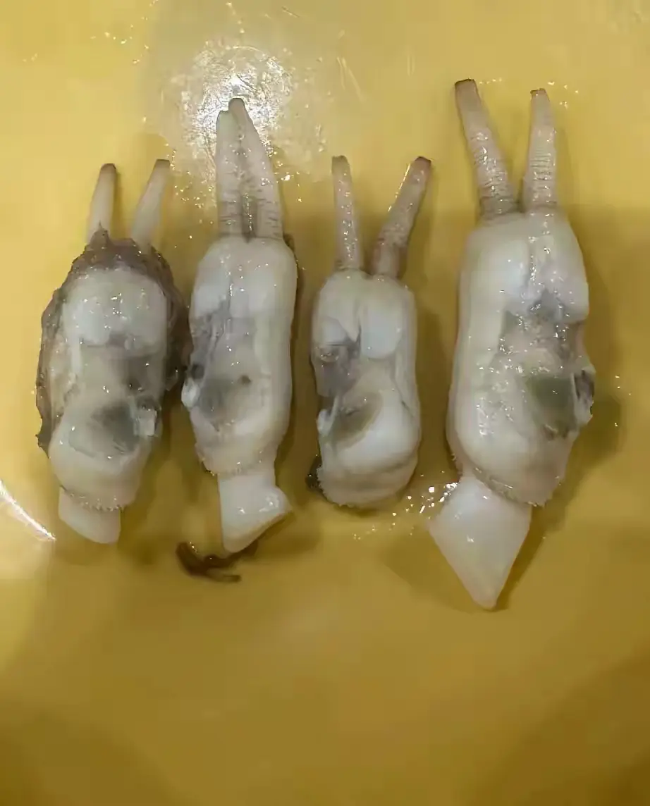 这个在福建到底是啥？？真的很好吃！