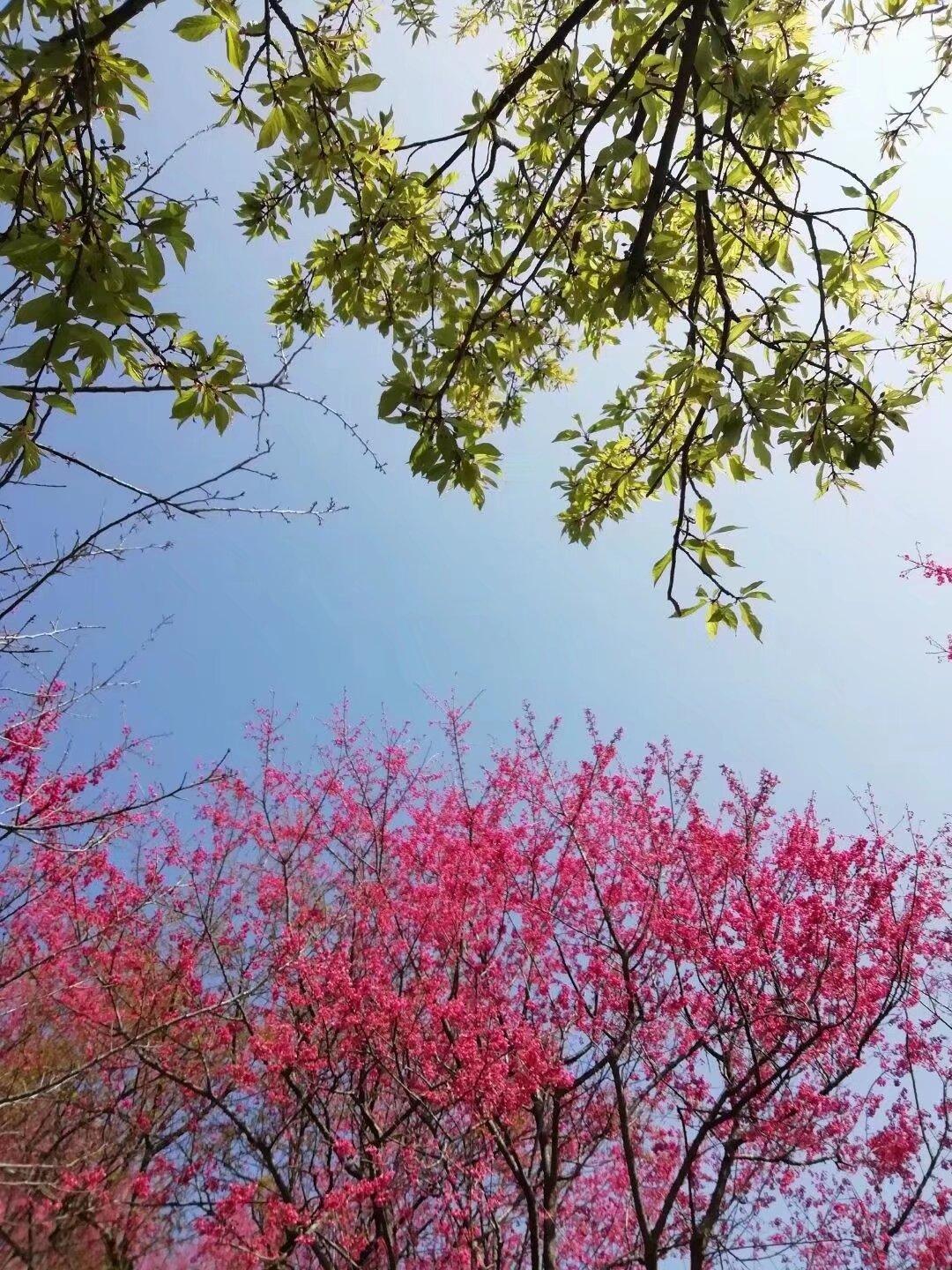 发现没如果每月存2千一年才两万四，你觉得太少了，但如果让你每月存两千，你又