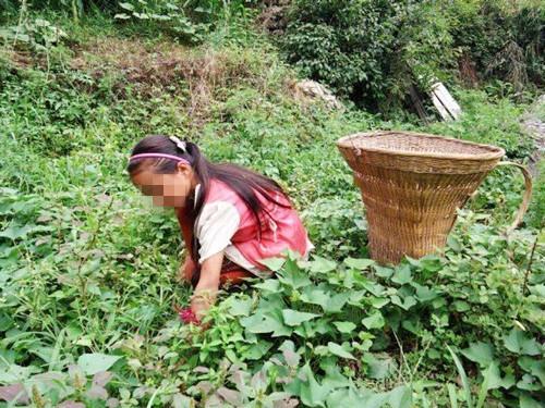 5岁女儿身患多动症被学校劝退, 单亲爸爸该如何弥补迟来的亲情?