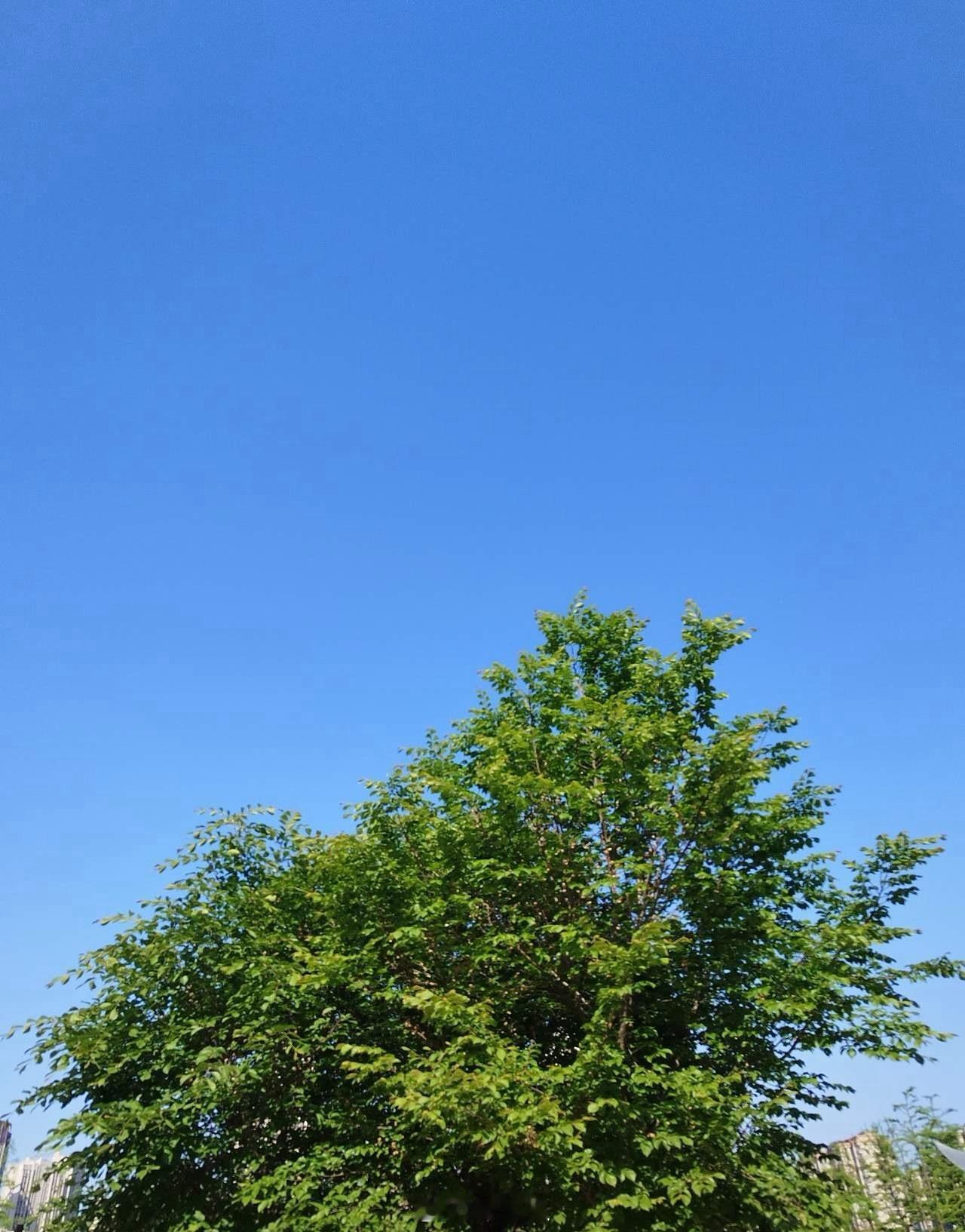 孩子读了高中，不管成绩如何，都要让孩子坚持到高考，哪怕高考成绩只有300分，也能