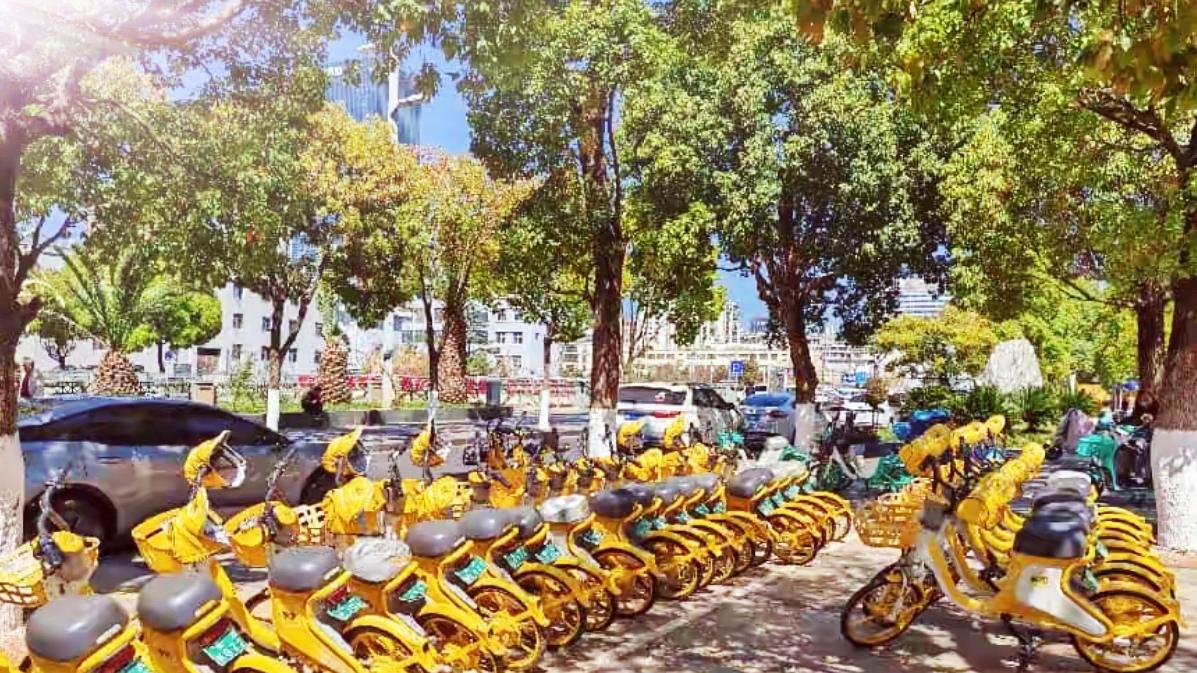 🔥重磅！云南出手整治！共享单车乱停乱放彻底凉凉。云南全面规范共享单车停放秩序，