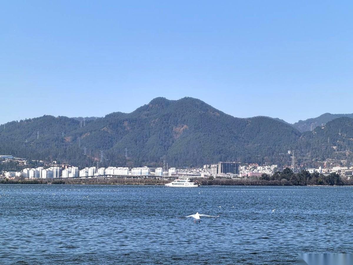 很多人以为，美国的话事人，是那帮在华尔街敲钟的大佬。但他们最近办砸了一件大事。