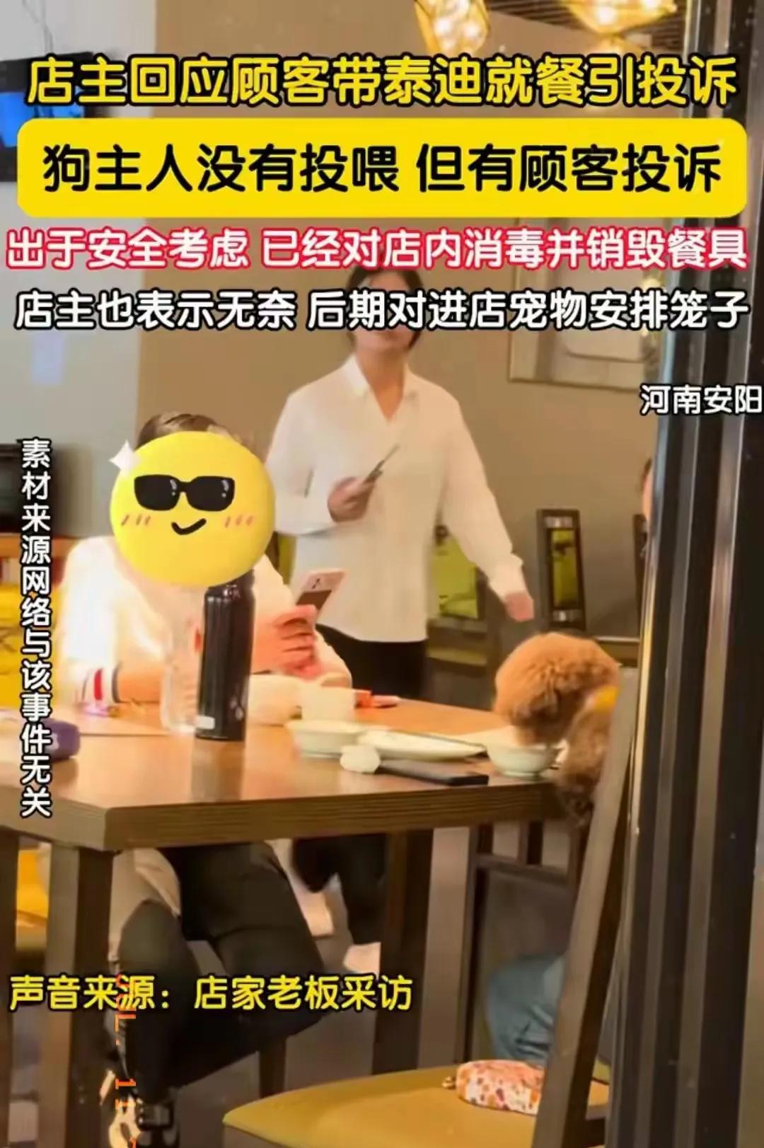 一个饭店狗爬桌上被投诉，店主无奈销毁餐具。视频里面饭店老板拿着钳子，把盘子剪碎