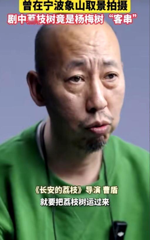 最近，《长安的荔枝》又被吐槽上了热搜，这次的争议出在“荔枝树”上。导演曹盾亲自