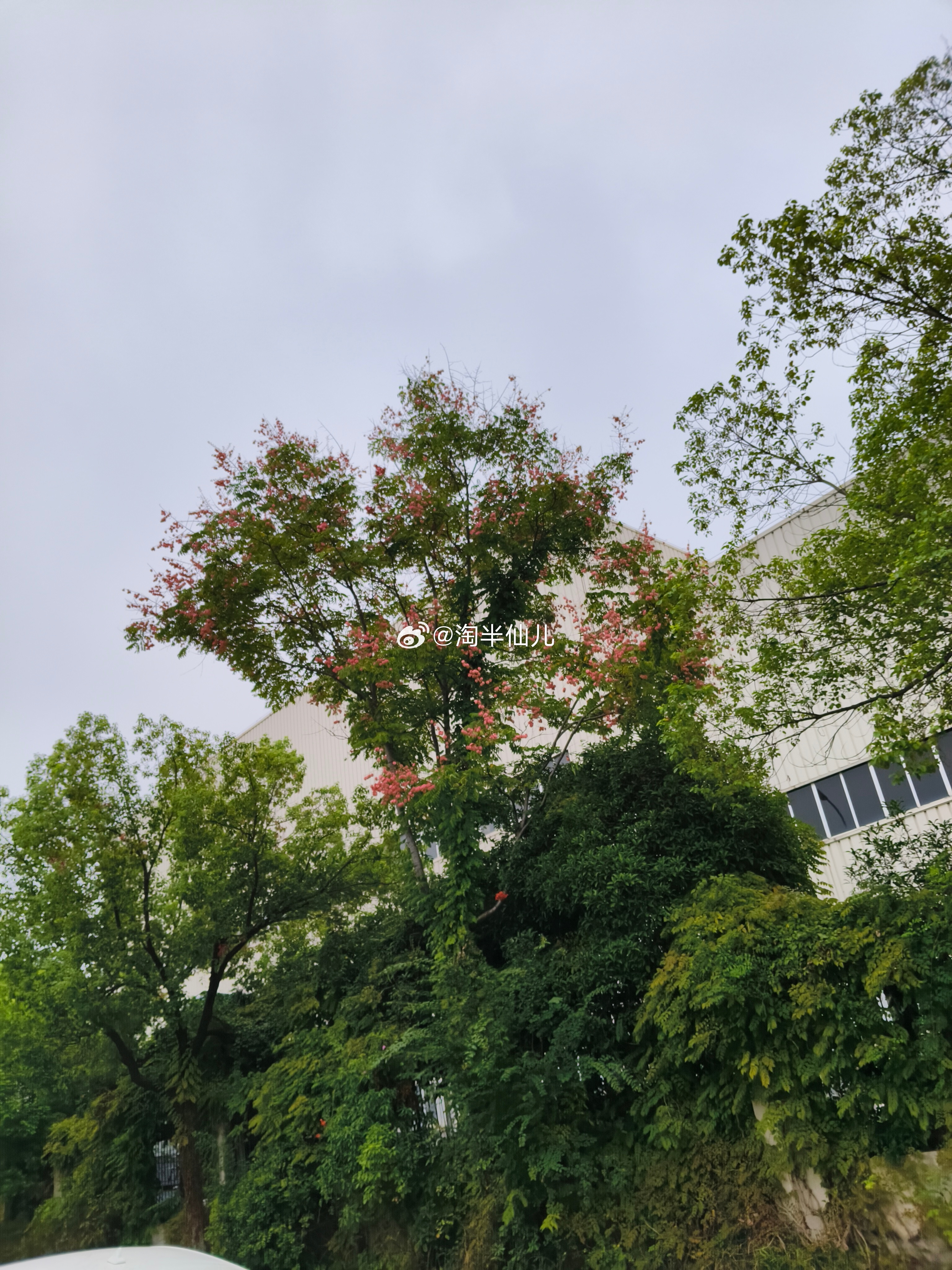 这个笑话有点“冷”，请做好准备：有一天，面条和包子在路上打了起来。结果面条被包子