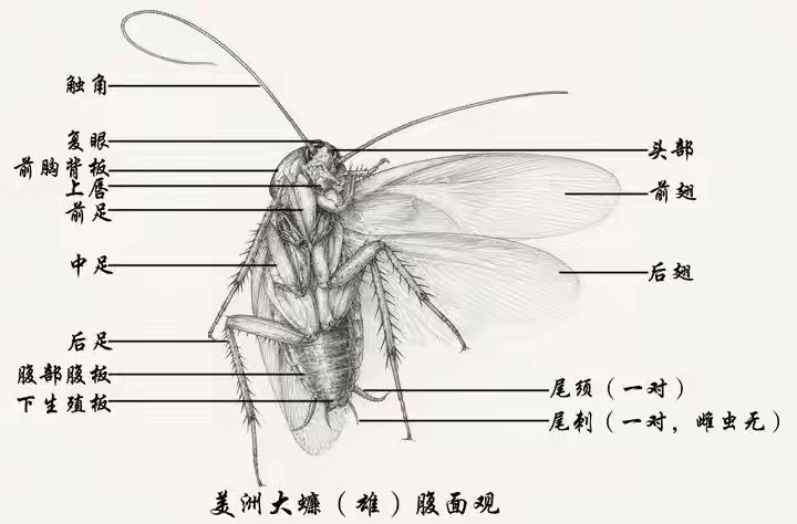 吓死了​​​