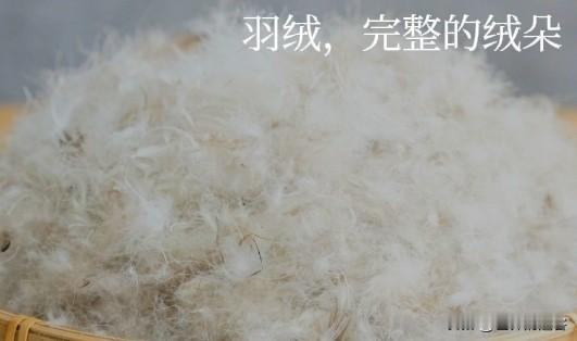 300块以下买不到真的羽绒服？辨别羽绒服有以下方法！一、要看执行标准（看衣服