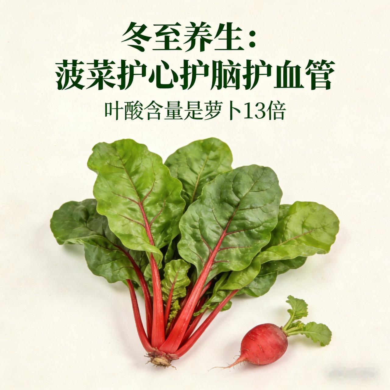 冬至后多吃菠菜，叶酸含量是萝卜13倍，护心护脑又护血管“叶酸王者”现身，含