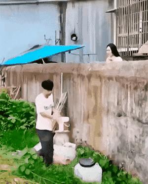 这是双方家长不同意吗？