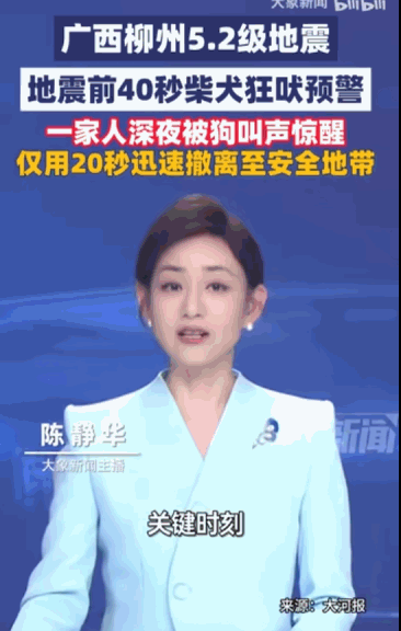 “养狗果然有用。”据媒体5月18日报道，广西柳州，一个普通得不能再普通的深夜，一