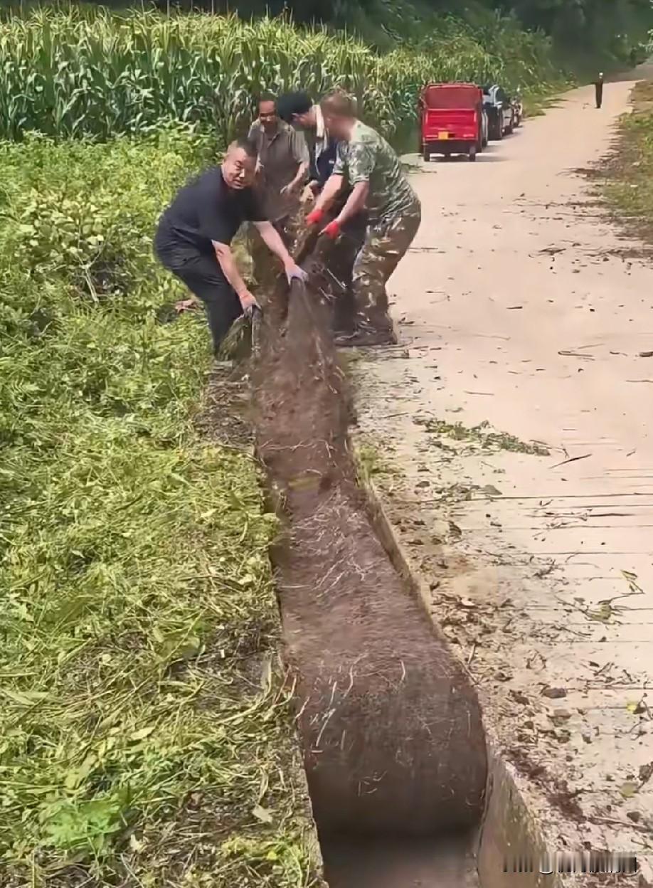 水沟都堵了！