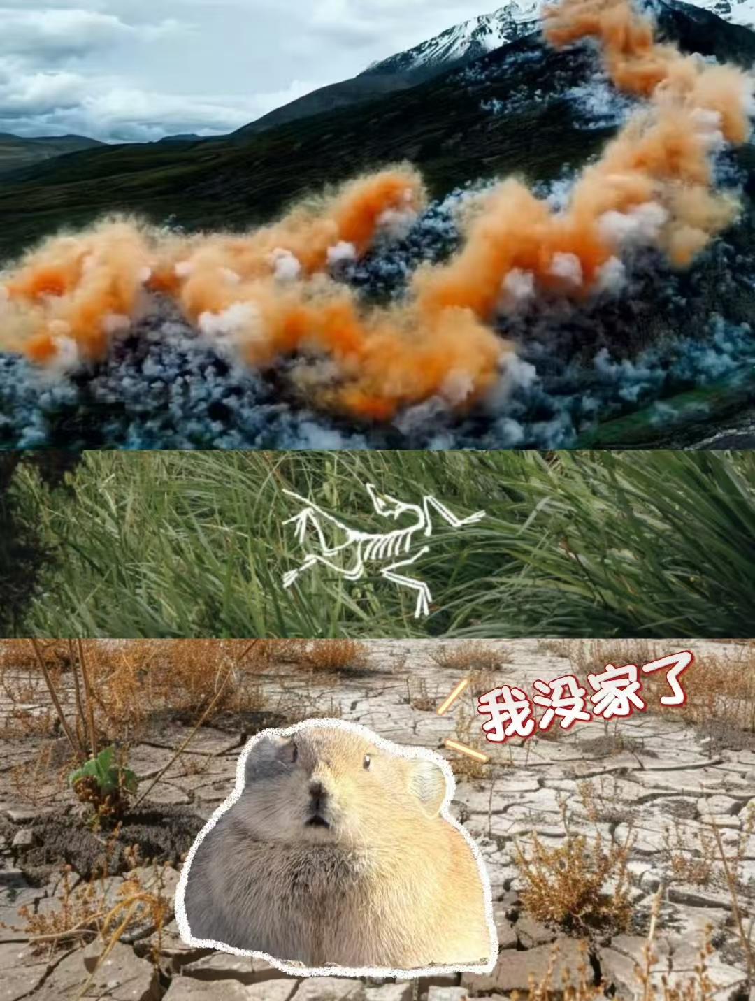 央视点名了！官方通报蔡国强烟花秀！早上最爆的新闻，央视官方点名！始祖鸟道歉，蔡